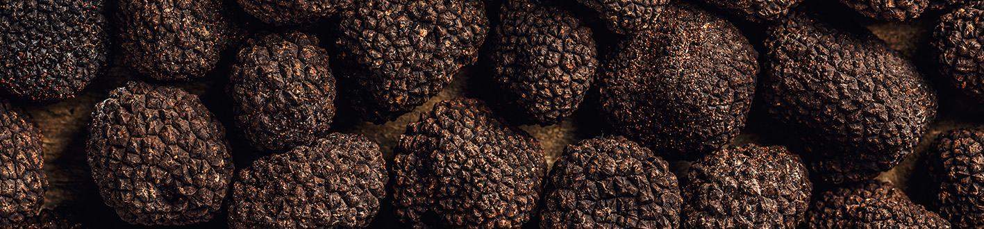 Truffe 