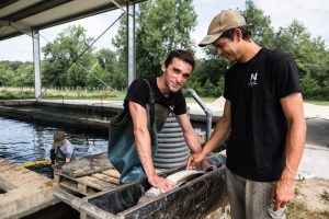Des années folles à l'arrivée du Caviar en France