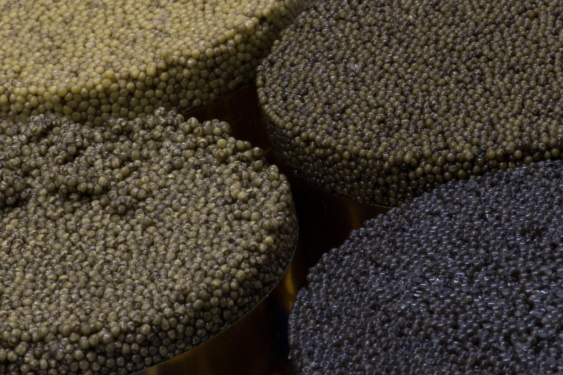 Les différentes sortes de caviar