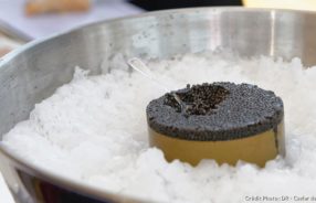 Régal.fr Caviar de Neuvic, l'esturgeon haute couture