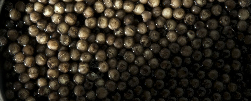 Quelle est la signification de la couleur d'un caviar ?