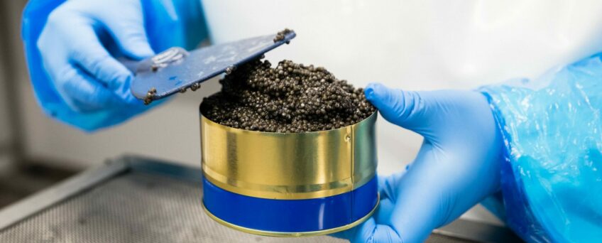 Comment conserver le caviar ?