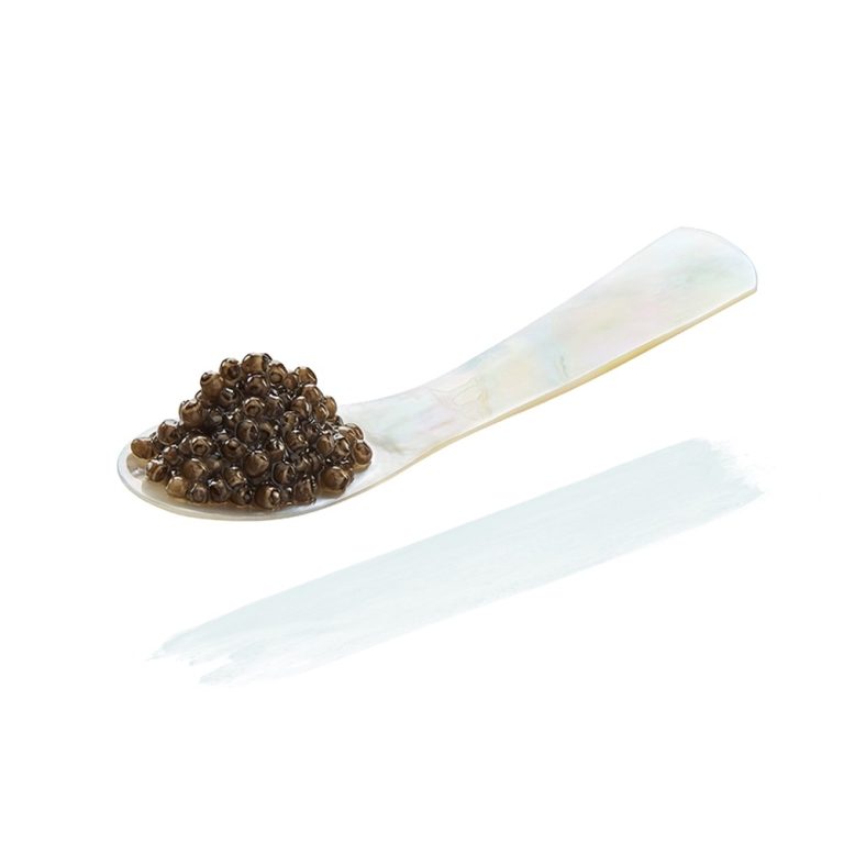 Cuillère en Nacre