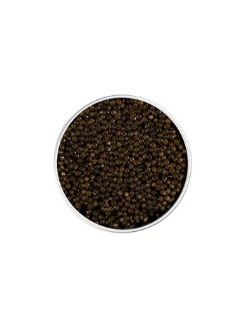 Caviar Baeri Signature