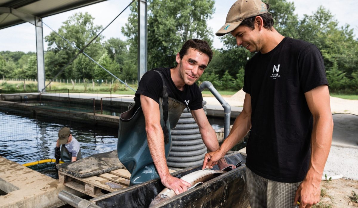 Des années folles à l'arrivée du Caviar en France