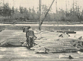 poissons à l'ancienne