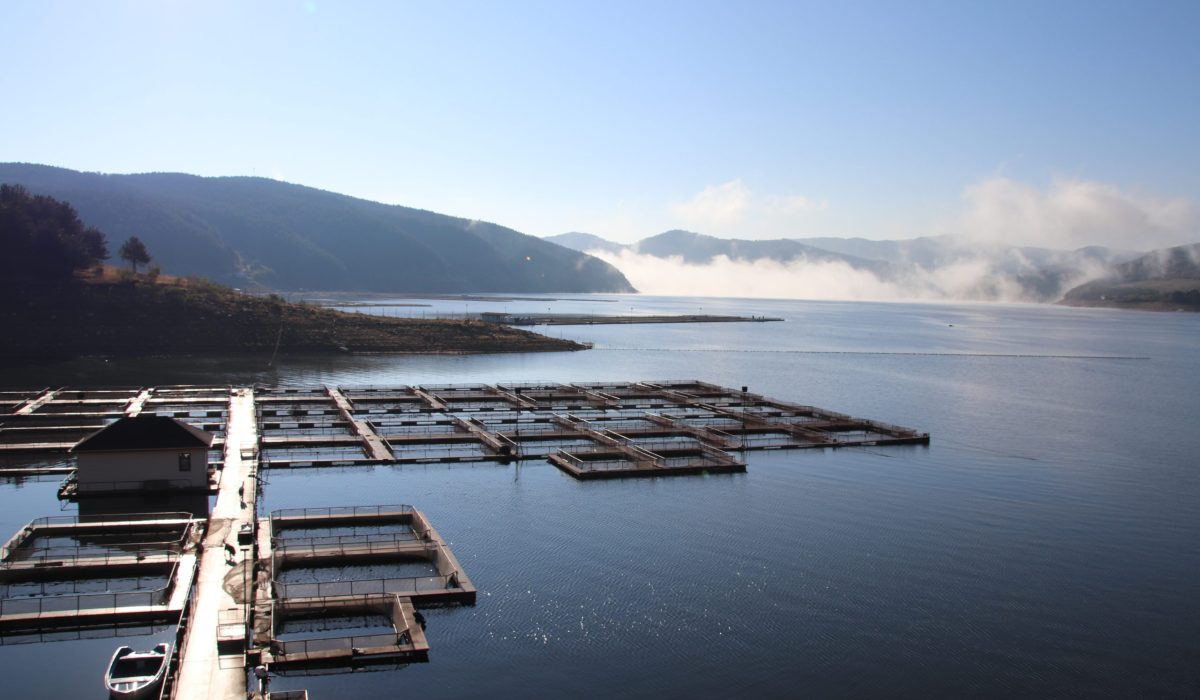 Notre ferme partenaire en Bulgarie