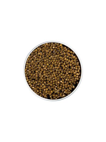 Caviar Osciètre Réserve