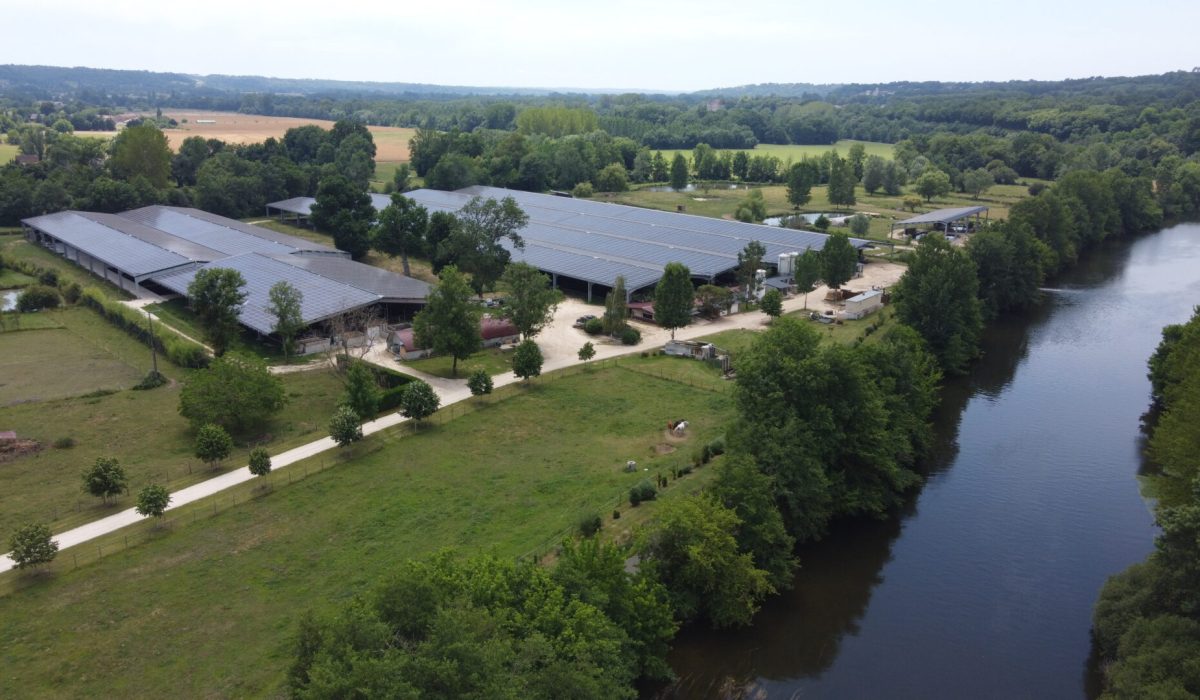 Construction de nouveaux bassins au Domaine