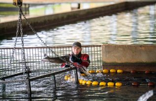 Quels sont les 3 plus gros producteurs de caviar ?