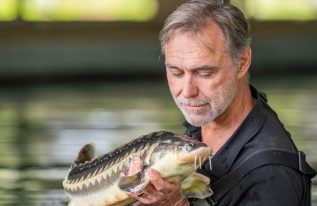 Quel est le prix d’un esturgeon ?