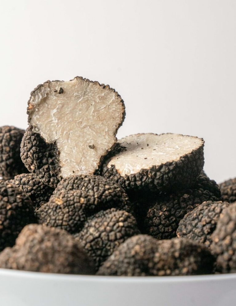 Truffe d'été Tuber Aestivum