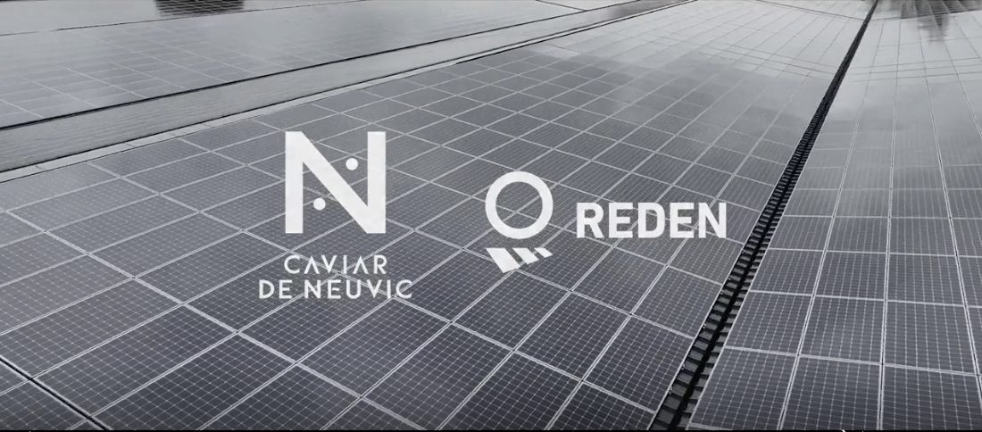 Du caviar à couvert sous abri photovoltaïque